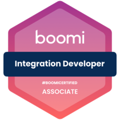 Associate Integration Developer