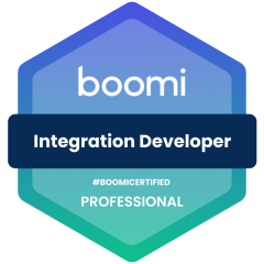 Professional Integration Developer